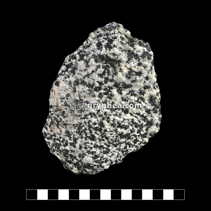 Gabbro - échantillon (Massif du Chenaillet, Alpes) - gryphea.com